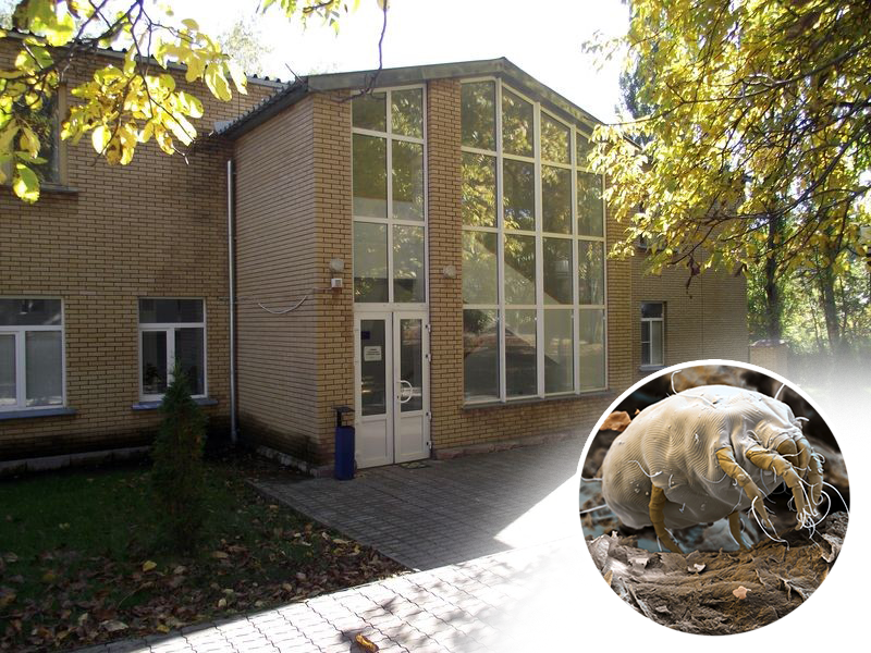 Вернулись из-за клопов: кому принадлежит пансионат «Геолог Казахстана» в России